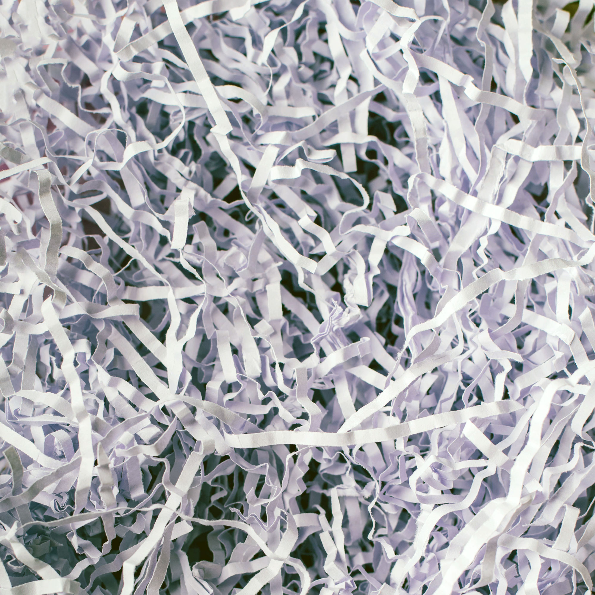 Shredded Paper Shredded Paper
