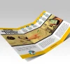 Online Flyers Design Near Me in USA